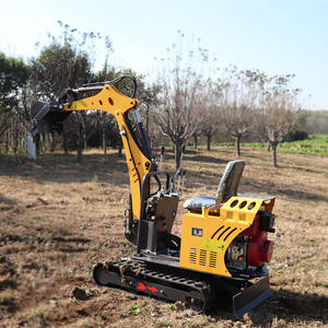 Mini-excavatrice EPA 0,8T-3T sur chenilles avec benne hydraulique, moteur et pompe, forte force de charge, livraison gratuite, vente mondiale - Product Image 2