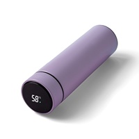 Gobelet d'isolation numérique à température LED intelligente réutilisable en acier inoxydable Flacons à sublimation Bouteille d'eau sous vide Public cible