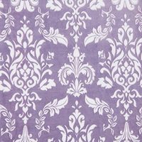 Usine En Gros Jacquard Couverture En Peluche Léger 100% Polyester pour La Décoration Intérieure De Noël Hiver-Petit Adulte Jeter Couverture