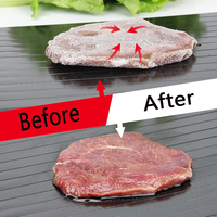 Plateau de décongélation KITCHENCARE en aluminium, plaque de décongélation antiadhésive pour viande et poisson congelés