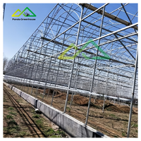 Grande serre multi-chapelles à double arche et double membrane en acier galvanisé à chaud avec panneaux en polycarbonate pour légumes et fruits