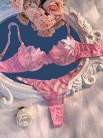 Factory Wholesale Hot Sale Women Lingerie Embroidery Sexy Bra and Underwear Mesh Sexy Lingerie Sets