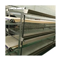 Prix d'usine, expédition rapide : Grand poulailler pour poules pondeuses, cage pour poulets pour la Malaisie