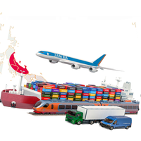 Service logistique professionnel DDP DDU Transport Cargo Fcl Mer Air Porte à Porte Transitaire Chine vers Vietnam Espagne