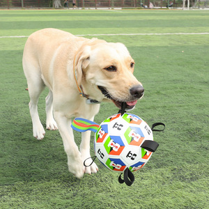 ZHONGYA 2026 Palloni da Calcio Personalizzati per <span class=keywords><strong>Cani</strong></span>, Palloni Luminosi per Allenamento, Forniture per Animali Domestici, Accessori per Animali all'Ingrosso dalla Fabbrica - Product Image 4