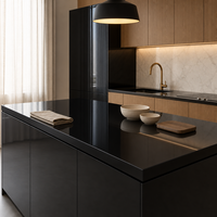 Verre trempé laqué noir jais 4mm 5mm 6mm 8mm 10mm CE SGCC pour crédence de cuisine, porte de placard, sur mesure