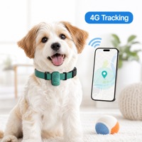 Collier GPS 4G multi-mode pour animaux de compagnie, sans frais d'abonnement, faible MOQ, prêt à être expédié, DDP disponible, étanche IP67, traceur anti-évasion pour chien