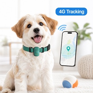 <span class=keywords><strong>Collier</strong></span> GPS 4G multi-mode pour animaux de compagnie, sans frais d'abonnement, faible MOQ, prêt à être expédié, DDP disponible, étanche IP67, traceur anti-évasion pour chien - Product Image 2