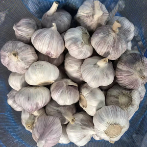 Ajo Blanco Fresco a Granel de Venta Directa de Fábrica China Fenduni, Ajo Seco Picante, Sabor Crudo, el Mejor Suministro de Ajo - Product Image 1