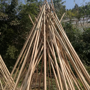 Cột tre Moso 213cm - Product Image 1