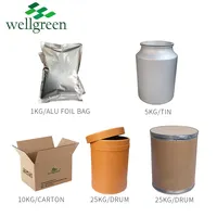 Wellgreen fabrika kaynağı Gingerol anında organik zencefil özü tozu suda çözünür