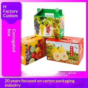 Elegante Carpeta con Forma de Avión, Diseño Corrugado, para Frutas, Joyería, Ropa, Zapatos, Calcetines, Artículos Esenciales Diarios, Impresión a Cuatro Colores - Product Image 3