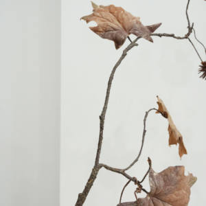 Neue heiß verkaufte künstliche Blume Akazie Kunststoff Blume Plüsch Trigeminal Yellow King Kirschblüte Dekoration Blume - Product Image 4