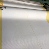 Correa de Alta Velocidad para Corrugadora Shenyang FULI con Kevlar para Máquinas de Doble Cara FOSBER/JS/XINGUANG/TCY, 2 kg, 1 Año de Garantía