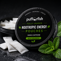 Usine OEM Personnalisée en Stock Zxn Velo Energy Snus Cans Fox Sachets de Snus aux Saveurs Variées Plastique & Métal