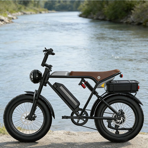 Vélo électrique 48V avec batterie au plomb-acide, moteur arrière intelligent sans balais, cadre en acier, vélo de ville 2 places pour adultes - Product Image 2