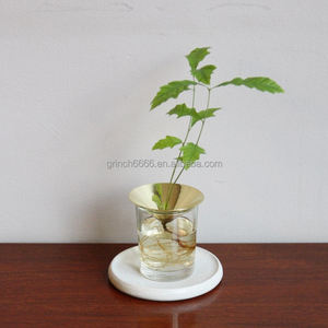 Aguacate <span class=keywords><strong>de</strong></span> bellota <span class=keywords><strong>de</strong></span> cono Sprouters florero aguacate Bellota semillas <span class=keywords><strong>de</strong></span> propagación florero - Product Image 5