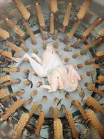 Machine à Plumer les Volailles à Bon Prix : Équipement d'Épluchage pour Poulets, Pigeons et Autres Oiseaux – Éliminateur de Plumes et de Poils
