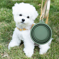 Bol pour animaux de compagnie en silicone sans BPA, sûr pour les aliments, pliable, avec logo personnalisé