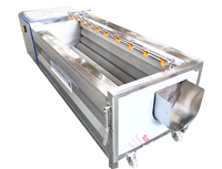 Multifunctionele Borstelrolmachines Voor Het Wassen En Schillen Van Aardappelen Groente Fruit Zoet Nieuw Product 2020 Verstrekt Wasfruit