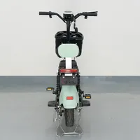 Bicicleta Eléctrica para Adultos, 500W, 48V, 20ah, Motor sin Escobillas, Batería de Plomo-Ácido