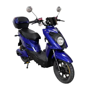 Milg Mini Moto Elektrische Motos Cicleta Elektrische Bromfiets Usa Magazijn Motorfietsen