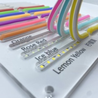 Lampu Neon silikon aman untuk anak, lampu Neon silikon aman tipe S tegangan rendah SMD2835 120LED/M 5V/12V untuk taman Poolside tahan air dekorasi
