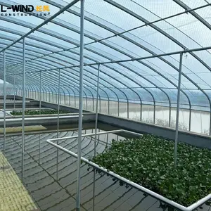 Aquaponics温室水产养殖和蔬菜养殖设备和工具