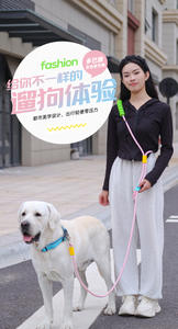 Eco-friendly Solid Colorful Pet P-Leash <strong>with</strong> Nylon Scarf and Poop Bag Holder-<strong>Dog</strong> <strong>Lead</strong> - Product Image 6