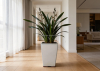 Pot de fleurs décoratif en céramique carré et haut, style vintage, blanc verni, pour plantes d'intérieur