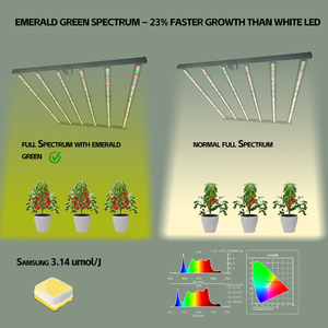 <span class=keywords><strong>Lampe</strong></span> de culture <span class=keywords><strong>LED</strong></span> ROHE 320W Evo vert émeraude <span class=keywords><strong>et</strong></span> blanc menthe, spectre complet pour la <span class=keywords><strong>croissance</strong></span> <span class=keywords><strong>et</strong></span> la <span class=keywords><strong>floraison</strong></span> en intérieur - Product Image 4