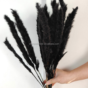 Vente chaude 15 tiges naturelles séchées blanches petites fleurs séchées <span class=keywords><strong>pampas</strong></span> blanchies herbe de pampa pour la décoration de la <span class=keywords><strong>maison</strong></span> de mariage - Product Image 3