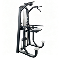 Machine Commerciale Multifonctionnelle d'Entraînement en Salle de Sport pour Tractions et Dips, Équipement pour Exercices du Dos, des Triceps et de la Poitrine, Direct Usine, Certifié CE