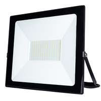 Réflecteur d'éclairage de stade portable moulé 10W 20W 30W 50W 100W 150W 200W 250W 300W 400W 500W W IP65 projecteur LED extérieur