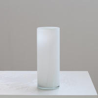 Vase en verre soufflé Bixuan, moderne et minimaliste, blanc, cylindrique, à base épaisse, pour hall d'hôtel, célébrations de mariage, hydroponie