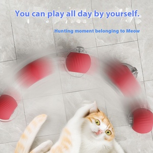 Jouet pour <span class=keywords><strong>chat</strong></span> en plumes de catnip naturel, balle auto-roulante, jouets interactifs pour chats d'intérieur, soulagement du stress, nettoyage des dents, jouets à mâcher pour chatons - Product Image 5