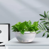 Petit panier suspendu épaissi en résine, pot de fleurs auto-arrosant avec couvercle transparent, pot de fleurs circulaire en plastique double couche