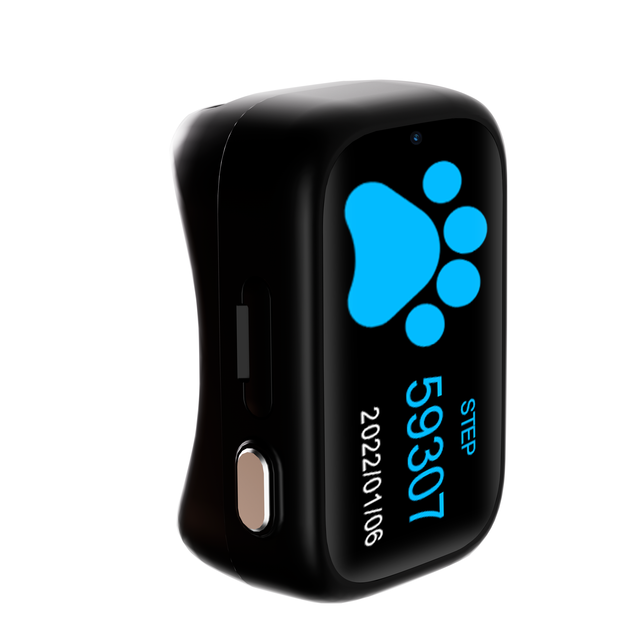 New Arrival 4G Pet Smart Tracking Device Cat Dog App Real Time Activity Monitor Anti-Lost GPS Tracker Collar With Voice Call