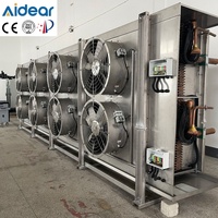 Enfriador de Aire Industrial con Evaporador para Plantas de Procesamiento de Alimentos, Cámaras Frigoríficas y Conservación de Frescura