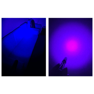 Lampe de poche UV pour la pêche à la mouche, produit de luxe, séchage de la colle, torche Ultra-Violet, Buzzer sur la tête, lumière noire - Product Image 6