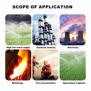 Bomba de Agua Centrífuga de Funcionamiento Suave, Vertical de Una Etapa, Horizontal para Tuberías, para Transporte de Larga Distancia - Product Image 5