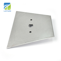 Plaque chauffante électrique industrielle en mica Laiyuan personnalisée 220V 1300W pour presse à chaud