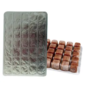 Frozen Brine Shrimp Cubes