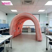 Túnel Inflable Personalizado con Modelo de Colon para Exhibición de Ciencias Médicas