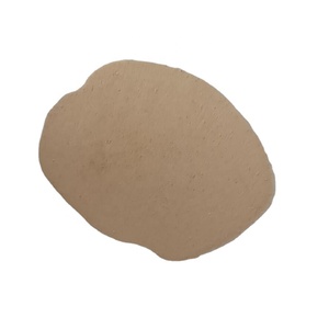 Aditivo Probiótico para Alimento de Aves de Corral, <span class=keywords><strong>Lactobacillus</strong></span> Casei, Candida Utilis en Polvo para Mejorar la Calidad de los Huevos - Product Image 1