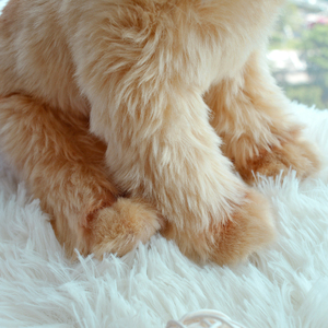 OEM ODM Service <strong>Custom</strong> Yellow <strong>Plush</strong> <strong>Dog</strong> <strong>Custom</strong> <strong>Plush</strong> Toy Stuffed &amp; <strong>Plush</strong> Toy Animal Doll - Product Image 6