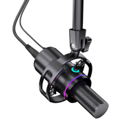Neues WM8 Dynamisches Mikrofon mit Cantilever-Stativ, XLR-Schnittstelle, 48V Soundkarte für Aufnahmen, Synchronisation, Gesang, USB-Computeranwendung