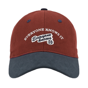 Gorras de Béisbol Vintage de Alta Calidad al por Mayor, con Logotipo Bordado Personalizado, de 6 Paneles, de Algodón, con Visera Curva, para Hombre - Product Image 4