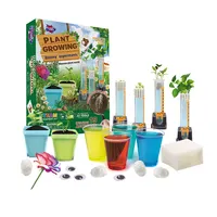 Creatività per bambini Mini Kit per la coltivazione di piante da giardino, regalo completo per la natura al coperto con vendita calda molto divertente 2022