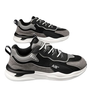 Baskets décontractées pour hommes, style urbain, plateforme, pour la marche et le voyage, à lacets, pour l'automne - Product Image 6